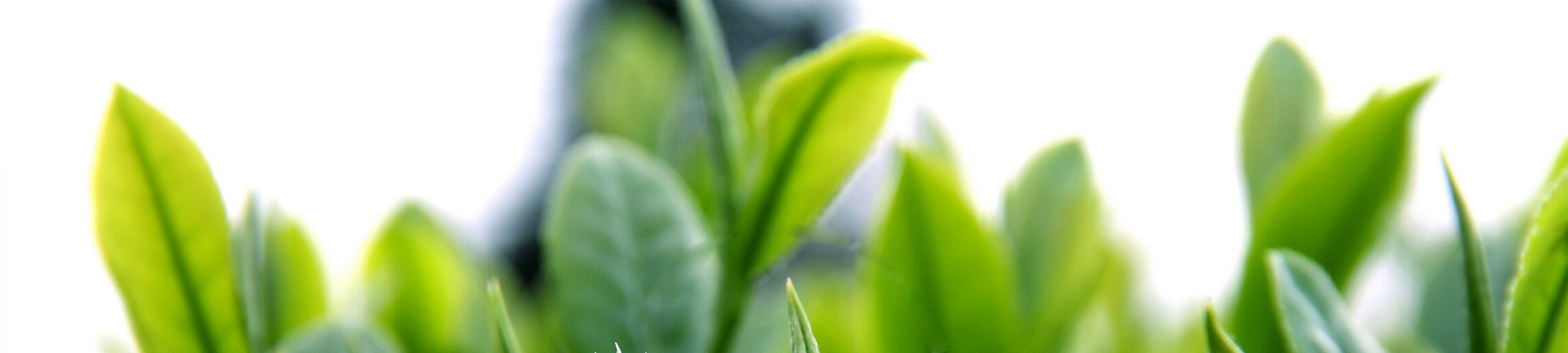 百姓彩票-百姓彩票welcome购彩大厅